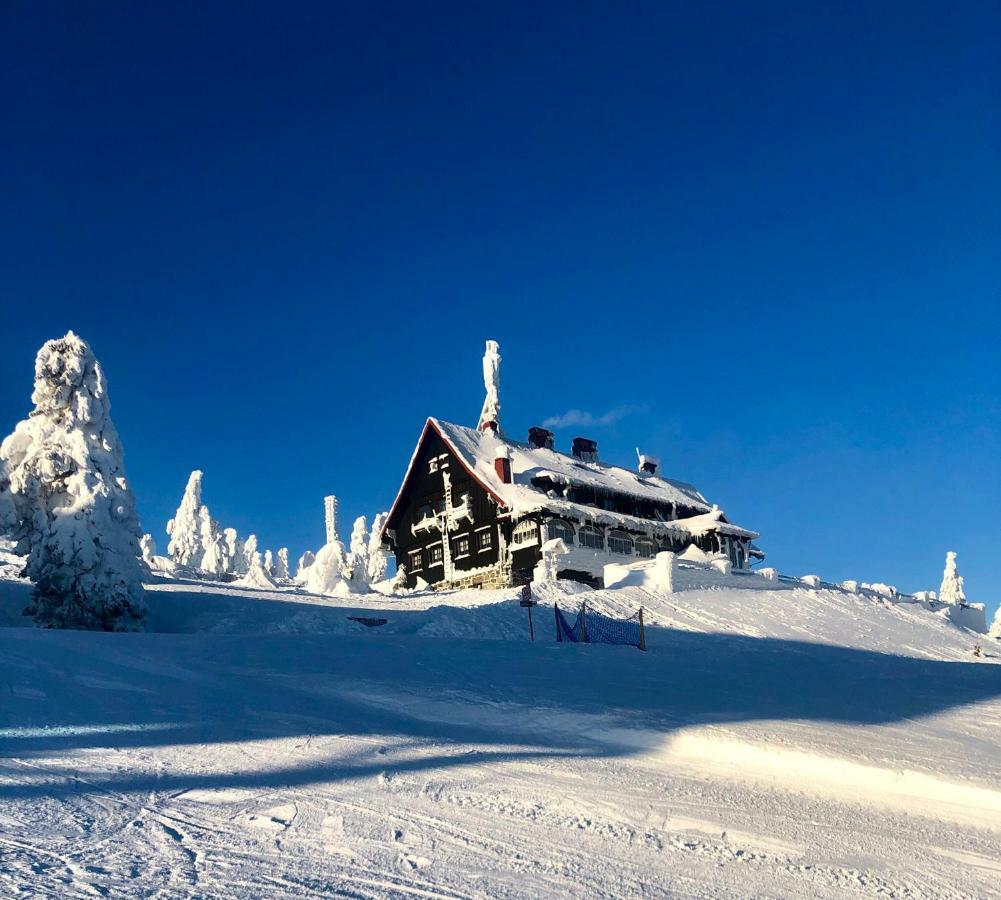Ski Sun Sea - Rodzinny Apartament Pod Gondola Świeradów-Zdrój Buitenkant foto